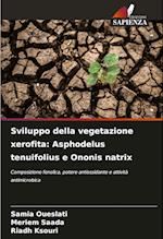 Sviluppo della vegetazione xerofita: Asphodelus tenuifolius e Ononis natrix