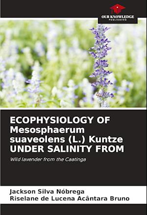 ECOPHYSIOLOGY OF Mesosphaerum suaveolens (L.) Kuntze UNDER SALINITY FROM