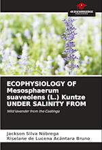 ECOPHYSIOLOGY OF Mesosphaerum suaveolens (L.) Kuntze UNDER SALINITY FROM