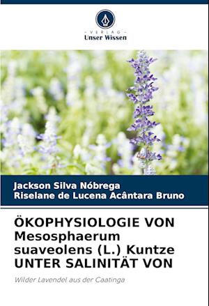 ÖKOPHYSIOLOGIE VON Mesosphaerum suaveolens (L.) Kuntze UNTER SALINITÄT VON