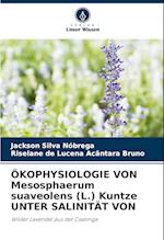 ÖKOPHYSIOLOGIE VON Mesosphaerum suaveolens (L.) Kuntze UNTER SALINITÄT VON