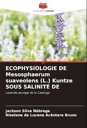 ECOPHYSIOLOGIE DE Mesosphaerum suaveolens (L.) Kuntze SOUS SALINITÉ DE