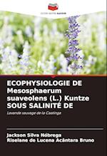 ECOPHYSIOLOGIE DE Mesosphaerum suaveolens (L.) Kuntze SOUS SALINITÉ DE