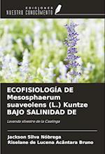 ECOFISIOLOGÍA DE Mesosphaerum suaveolens (L.) Kuntze BAJO SALINIDAD DE