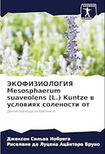 JeKOFIZIOLOGIYa Mesosphaerum suaveolens (L.) Kuntze w uslowiqh solenosti ot