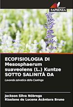 ECOFISIOLOGIA DI Mesosphaerum suaveolens (L.) Kuntze SOTTO SALINITÀ DA