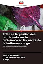 Effet de la gestion des nutriments sur la croissance et la qualité de la betterave rouge