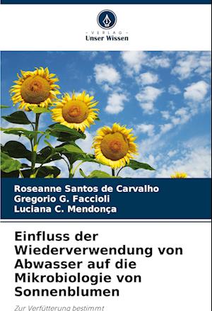 Einfluss der Wiederverwendung von Abwasser auf die Mikrobiologie von Sonnenblumen