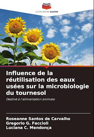 Influence de la réutilisation des eaux usées sur la microbiologie du tournesol