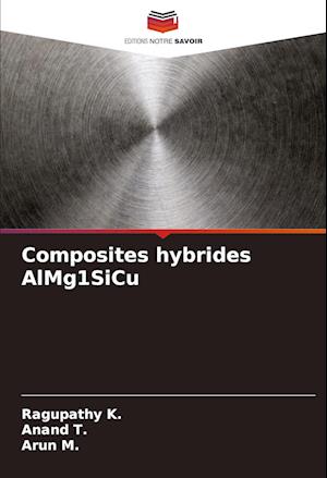 Composites hybrides AlMg1SiCu