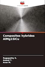 Composites hybrides AlMg1SiCu