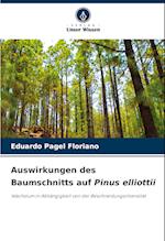 Auswirkungen des Baumschnitts auf Pinus elliottii