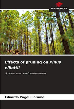 Effects of pruning on Pinus elliottii