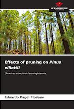 Effects of pruning on Pinus elliottii