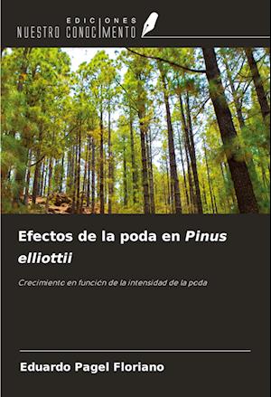 Efectos de la poda en Pinus elliottii