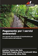 Pagamento per i servizi ambientali