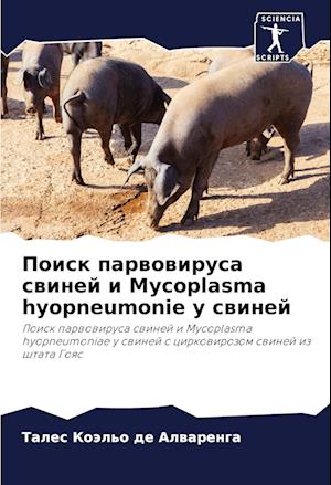 Poisk parwowirusa swinej i Mycoplasma hyopneumonie u swinej