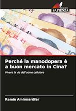 Perché la manodopera è a buon mercato in Cina?