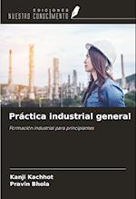 Práctica industrial general