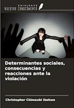 Determinantes sociales, consecuencias y reacciones ante la violación