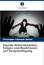 Soziale Determinanten, Folgen und Reaktionen auf Vergewaltigung