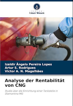 Analyse der Rentabilität von CNG