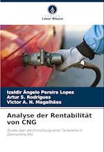 Analyse der Rentabilität von CNG