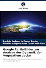 Google Earth-Bilder zur Analyse der Dynamik der Vegetationsdecke