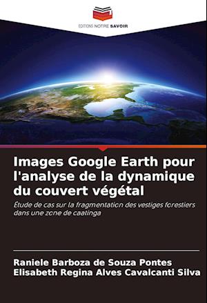 Images Google Earth pour l'analyse de la dynamique du couvert végétal