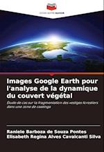 Images Google Earth pour l'analyse de la dynamique du couvert végétal