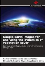 Google Earth images for analyzing the dynamics of vegetation cover