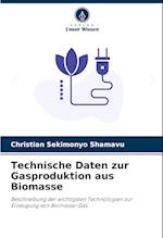 Technische Daten zur Gasproduktion aus Biomasse