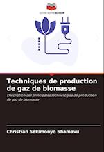 Techniques de production de gaz de biomasse