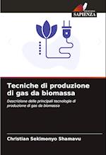 Tecniche di produzione di gas da biomassa