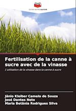 Fertilisation de la canne à sucre avec de la vinasse