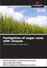 Fertigation of sugar cane with vinasse