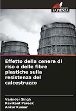 Effetto della cenere di riso e delle fibre plastiche sulla resistenza del calcestruzzo