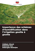 Importance des schémas d'humidification dans l'irrigation goutte à goutte