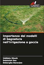 Importanza dei modelli di bagnatura nell'irrigazione a goccia