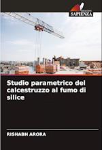 Studio parametrico del calcestruzzo al fumo di silice