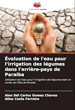 Évaluation de l'eau pour l'irrigation des légumes dans l'arrière-pays de Paraiba