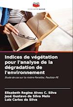 Indices de végétation pour l'analyse de la dégradation de l'environnement