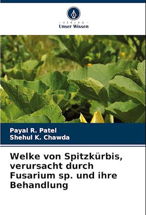 Welke von Spitzkürbis, verursacht durch Fusarium sp. und ihre Behandlung