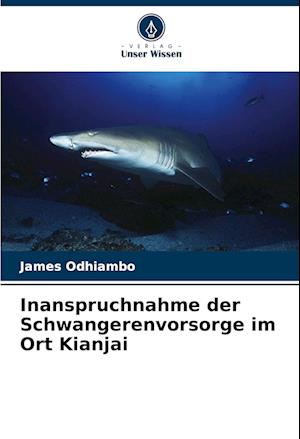 Inanspruchnahme der Schwangerenvorsorge im Ort Kianjai