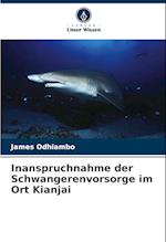 Inanspruchnahme der Schwangerenvorsorge im Ort Kianjai