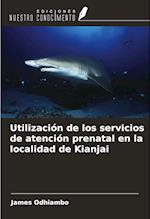 Utilización de los servicios de atención prenatal en la localidad de Kianjai