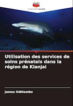 Utilisation des services de soins prénatals dans la région de Kianjai