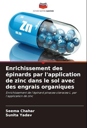 Enrichissement des épinards par l'application de zinc dans le sol avec des engrais organiques