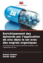 Enrichissement des épinards par l'application de zinc dans le sol avec des engrais organiques