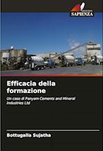 Efficacia della formazione